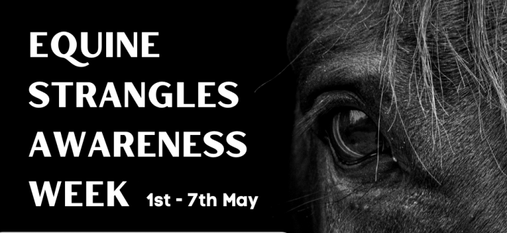 EQUINE STRANGLES AWARENESS WEEK //