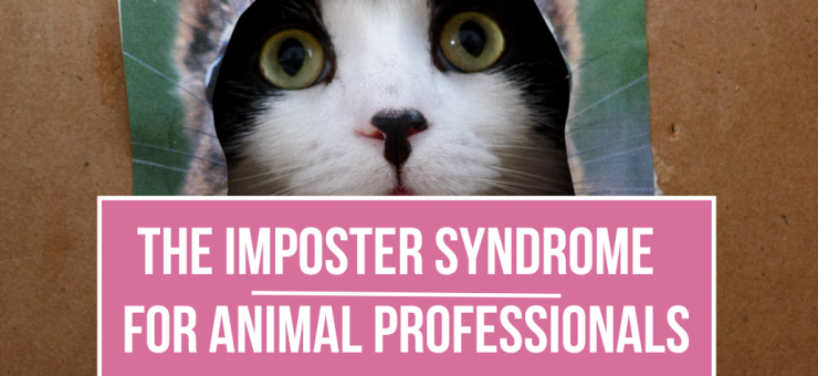 PDR COURSE APPROVAL // Hanne Grice - Managing Imposterism for Animal Professionals ????