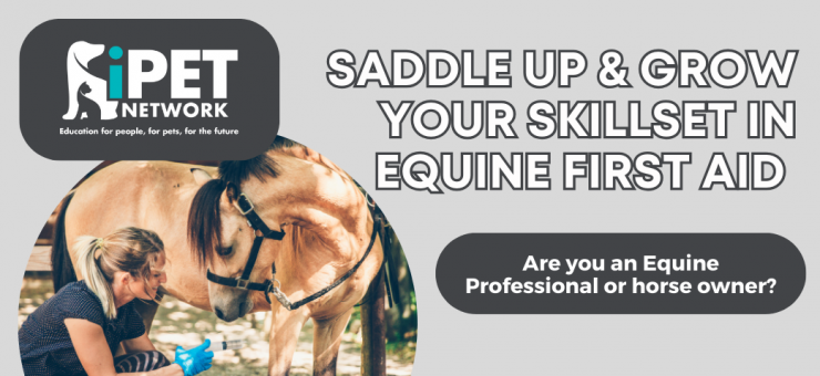 SADDLE UP & GROW YOUR SKILLSET IN EQUINE FIRST AID //