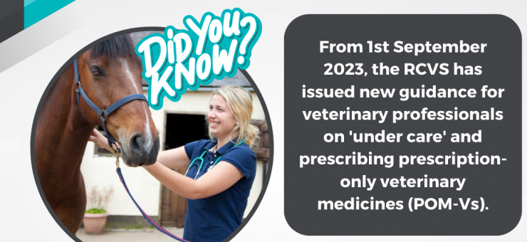 NEW GUIDANCE FROM THE RCVS ON 'UNDER-CARE' & PRESCRIBING POM-Vs FOR VETERINARY PROFESSIONALS //