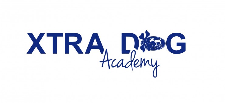 Elevate Your Dog Training Career with Xtra Dog's Instructor Programme