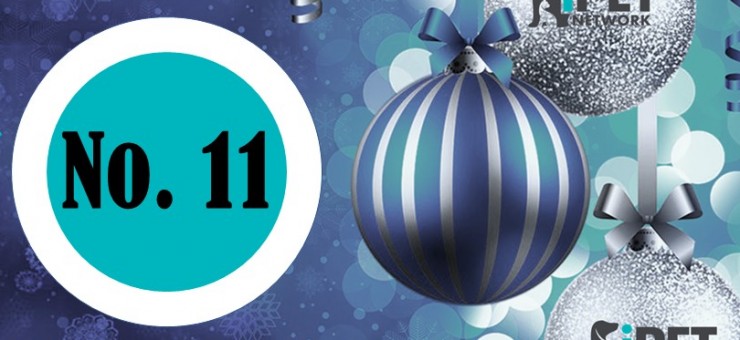 iPET Network CHRISTMAS COUNTDOWN